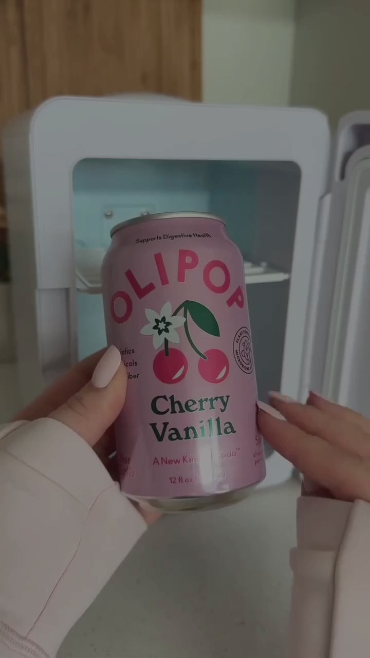 Mini nevera portátil 4L